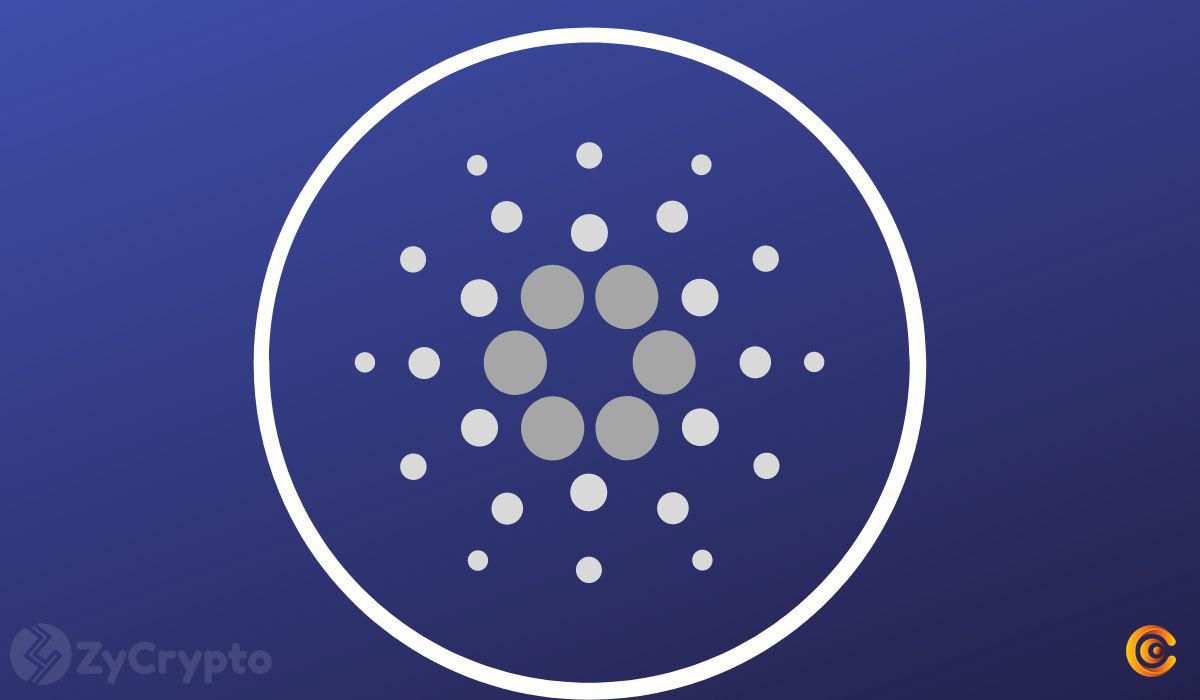 ADA Shows Strong Whale Activity Amid Cardano Becoming the Face of Argentina's First Legitimate Smart Contract